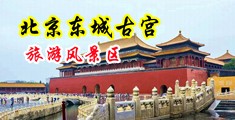 日本人妖自慰汇编。中国北京-东城古宫旅游风景区